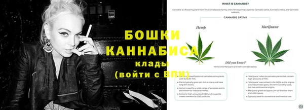 бошки Пересвет