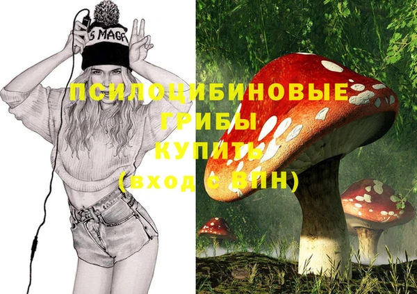 скорость Абаза